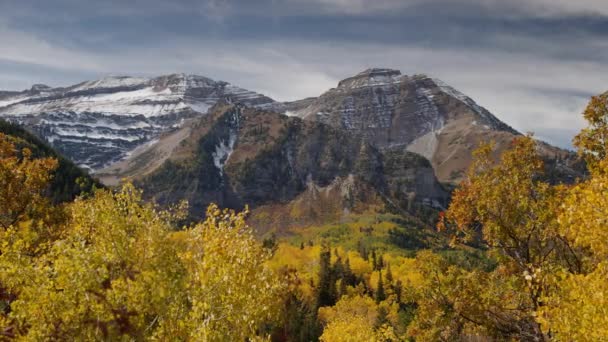 Гірське та осіннє листя — стокове відео