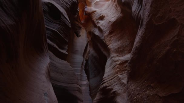 Walls in Canyon X — Stock Video