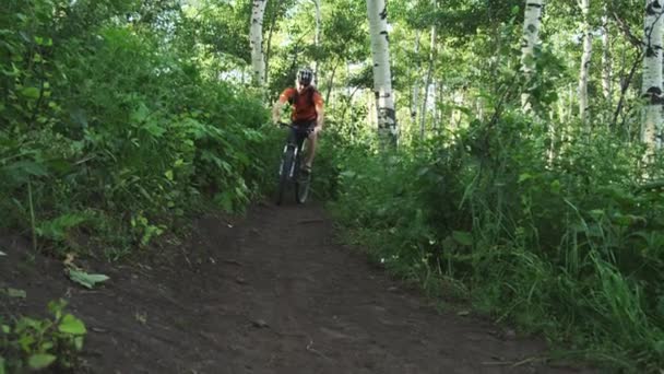 Hombre montando bicicleta de montaña en el camino del bosque — Vídeo de stock