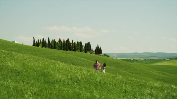 夫妻散步穿过草地 — 图库视频影像