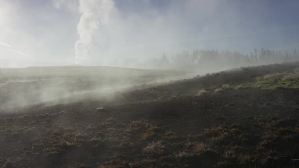 Dampf steigt aus der Ferne alter, treuer Geysir — Stockvideo