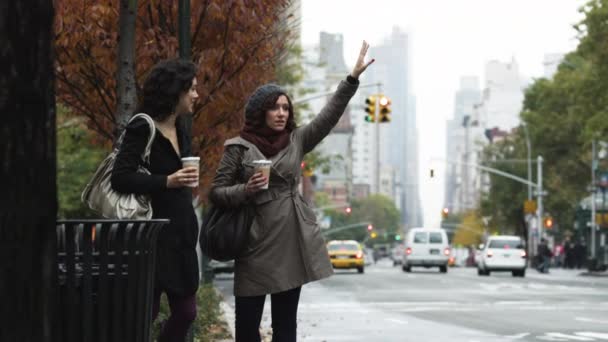 Vrouwen meldplicht en het invoeren van yellow cab — Stockvideo