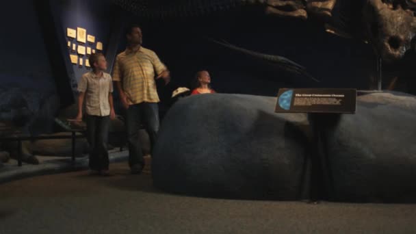 Mujer con niños en museo de historia natural — Vídeos de Stock