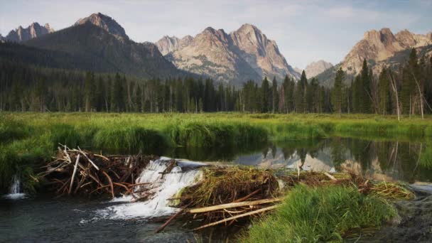 Montañas y presa de castor en el lago — Vídeos de Stock