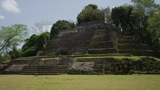 Antiguo templo de Jaguar — Vídeo de stock