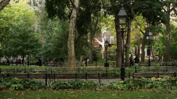 Washington Square Park — Wideo stockowe