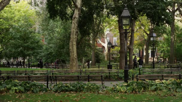 Washington Square Park — Stockvideo