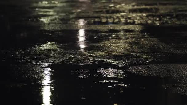 Puddles dan lalu lintas di jalan di malam hari — Stok Video