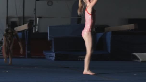 Chica haciendo ejercicio en el gimnasio — Vídeos de Stock