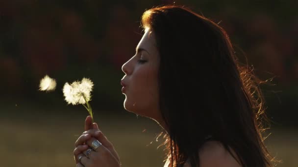 Teenage girl blowing at Dandelion — Stock Video