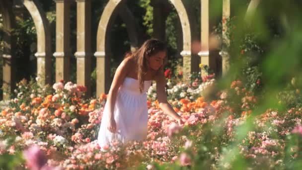 Jovem mulher andando no jardim de verão — Vídeo de Stock