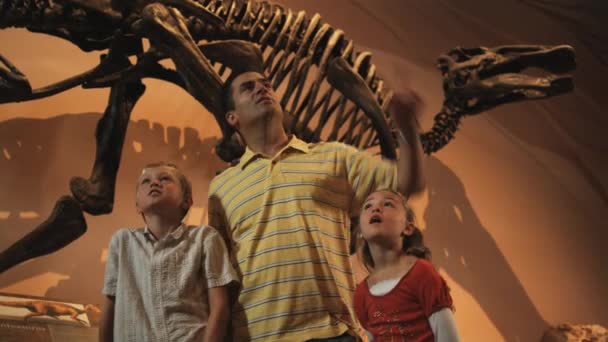 家庭在自然史博物馆 — 图库视频影像