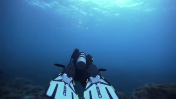 Аквалангист под водой — стоковое видео