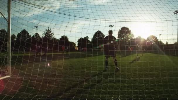 Jugador anotando gol en el campo — Vídeos de Stock