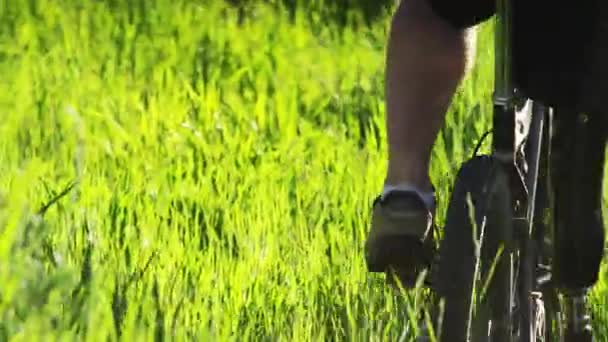 Hombre montando bicicleta de montaña a través de colina cubierta de hierba — Vídeos de Stock