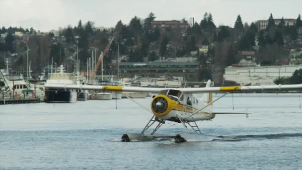 Seaplane taking off from harbor — Stock Video