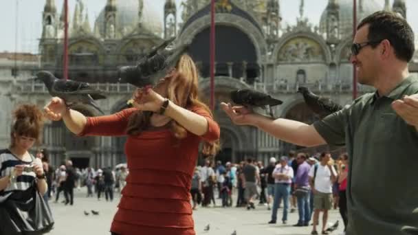 Homme et femme nourrissant des pigeons — Video