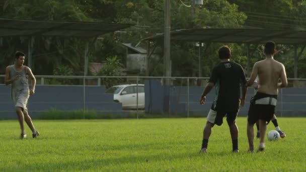 Equipes de futebol que jogam em campo — Vídeo de Stock