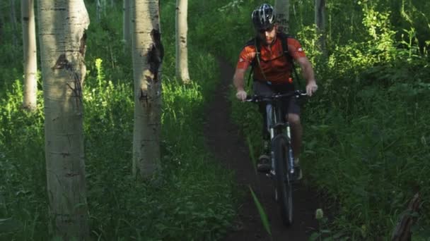 Hombre montando bicicleta de montaña en el camino del bosque — Vídeos de Stock