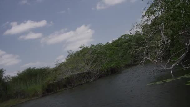 Tracking shot over externe New River — Stockvideo