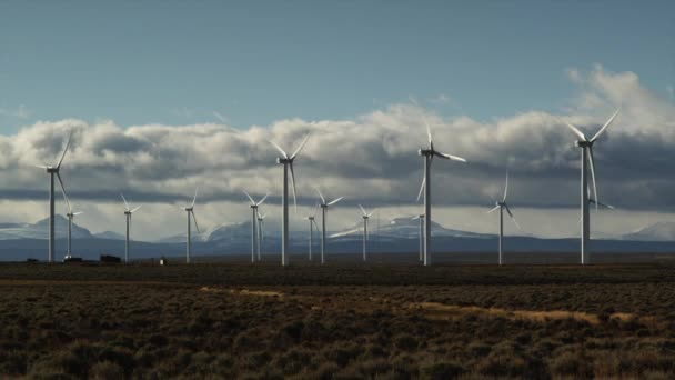 Wind turbines on field — Stock Video