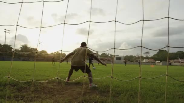 Jogador de futebol marcando gol e torcida — Vídeo de Stock