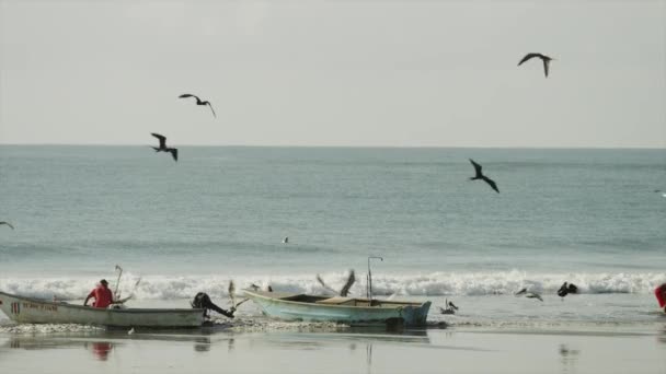 Люди на лодках, пришвартованных на пляже Эстерильос — стоковое видео