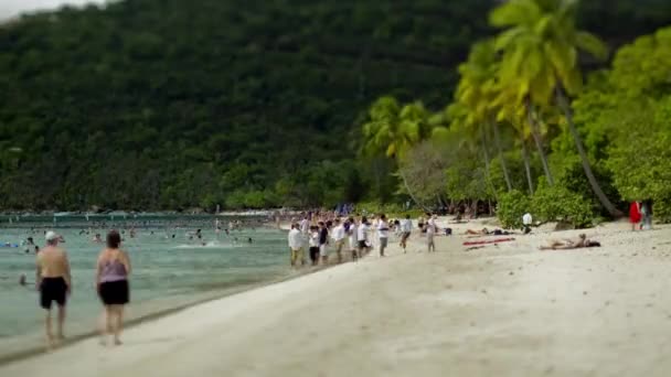 Люди отдыхают на пляже — стоковое видео