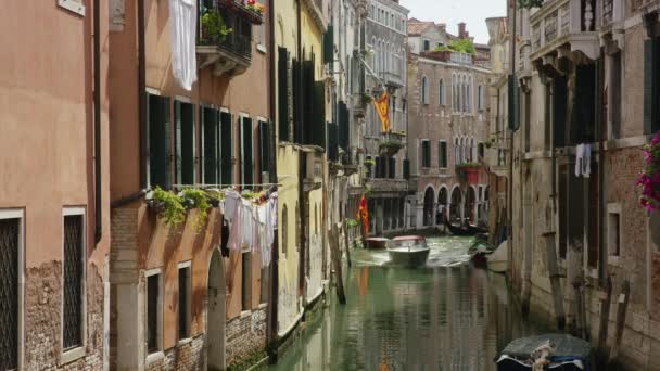 Motoscafo nel canale urbano — Video Stock