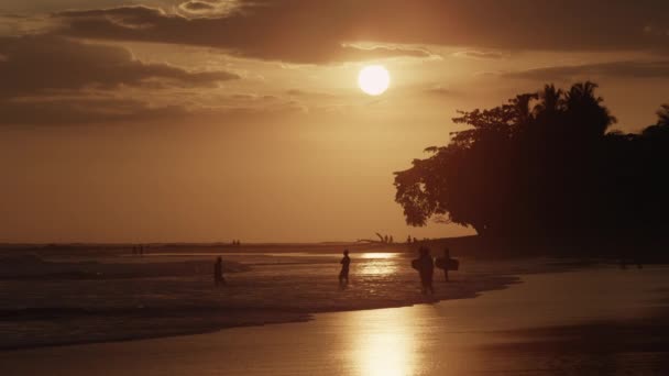 Personnes marchant sur la plage au coucher du soleil — Video
