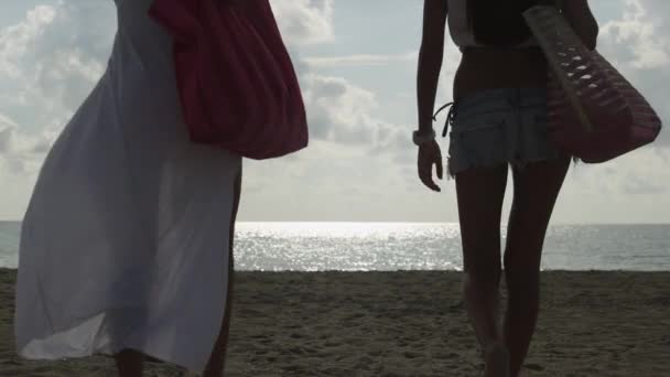 Due donne a piedi sulla spiaggia — Video Stock