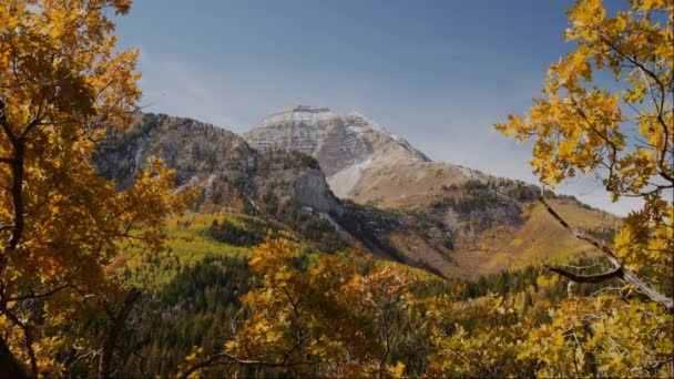 Berge und Herbstblätter — Stockvideo