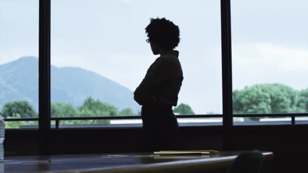 Mujer de negocios nerviosa en la sala de conferencias — Vídeo de stock