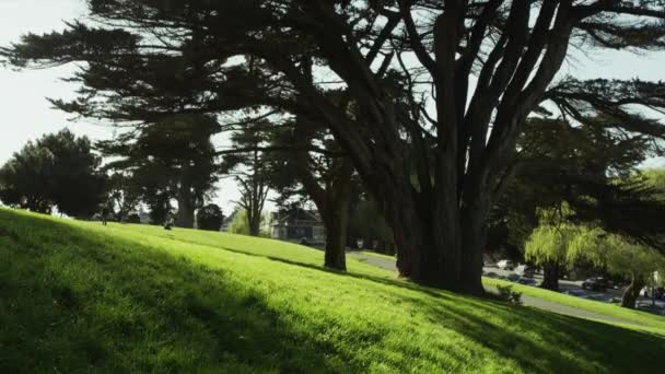 Syn på Alamo Square Park — Stockvideo