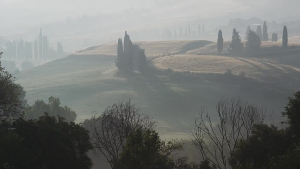 Colline nebbiose paesaggio rurale — Video Stock