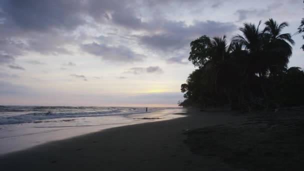 Hombre llevando tablas de surf en la playa al atardecer — Vídeos de Stock