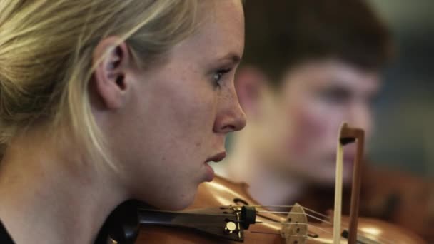 Woman playing violin — Stock Video