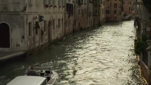 Bateau à moteur circulant le long du canal — Video