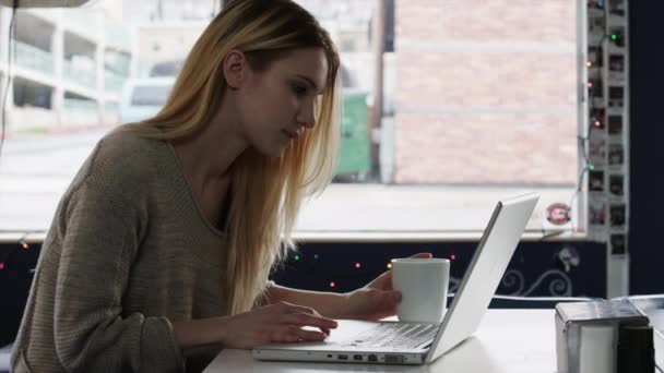 Mujer joven usando el ordenador portátil — Vídeo de stock