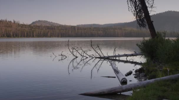 Vista panorámica del lago tranquilo — Vídeos de Stock