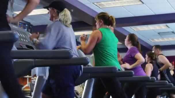 Mensen uitoefenen op loopbanden in gym — Stockvideo