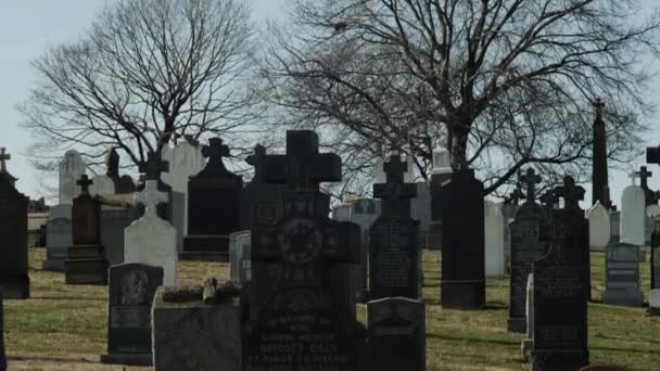 Old cemetery in Queens — Stock Video
