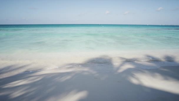 Sand beach with palm tree shades — Stock Video