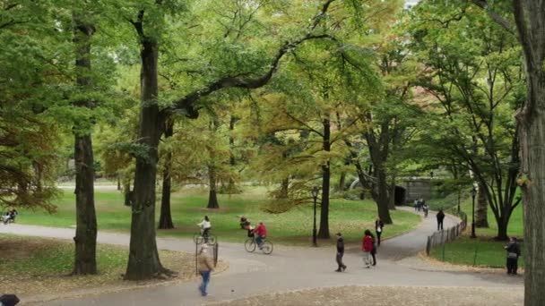 Gente caminando en Central Park — Vídeo de stock