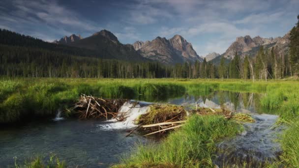 Montañas y presa de castor en el lago — Vídeos de Stock