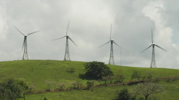 Les éoliennes dans la prairie — Video