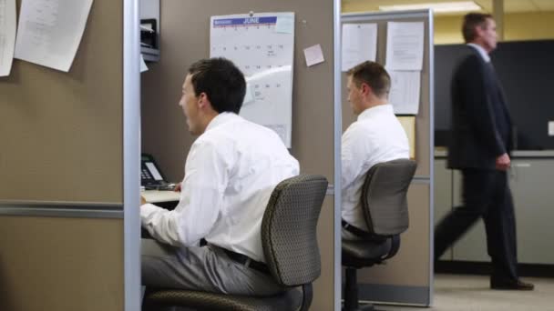Dois colegas olhando para o computador e rindo — Vídeo de Stock