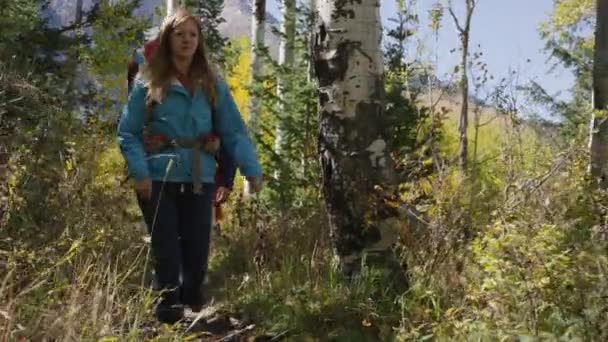 Couple randonnée sur sentier forestier — Video