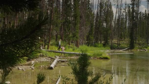 Pareja joven caminando sobre tronco en el lago — Vídeos de Stock