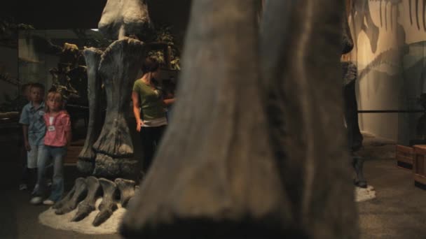 Vrouw met kinderen in Natuurhistorisch museum — Stockvideo